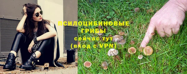 ГАЛЛЮЦИНОГЕННЫЕ ГРИБЫ Арсеньев