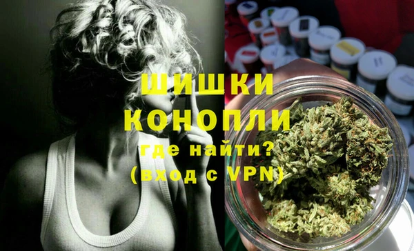 хмурый Аркадак