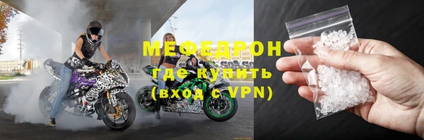 хмурый Аркадак