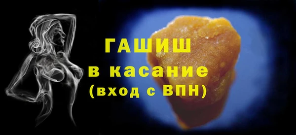 хмурый Аркадак