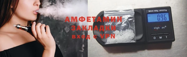 хмурый Аркадак