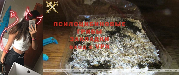 хмурый Аркадак