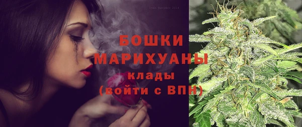 ГАЛЛЮЦИНОГЕННЫЕ ГРИБЫ Арсеньев