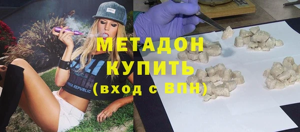 хмурый Аркадак