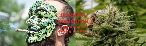 хмурый Аркадак