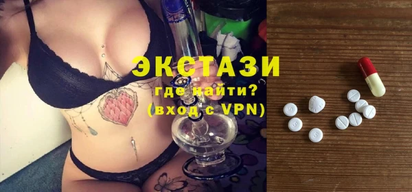 хмурый Аркадак