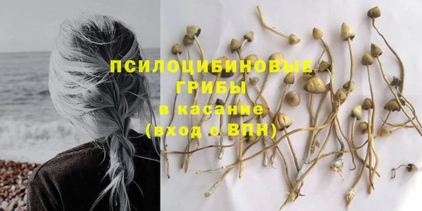 ГАЛЛЮЦИНОГЕННЫЕ ГРИБЫ Арсеньев