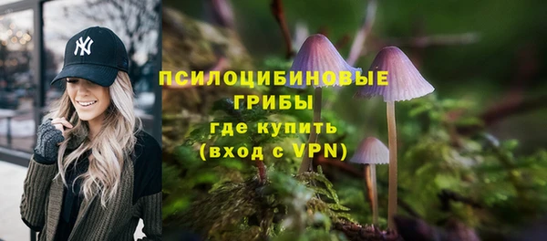 ГАЛЛЮЦИНОГЕННЫЕ ГРИБЫ Арсеньев