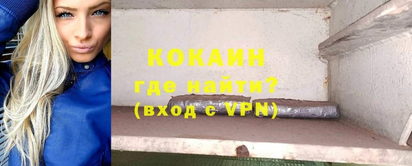 ГАЛЛЮЦИНОГЕННЫЕ ГРИБЫ Арсеньев