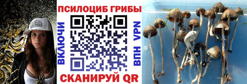 Галлюциногенные грибы Magic Shrooms Берёзовский